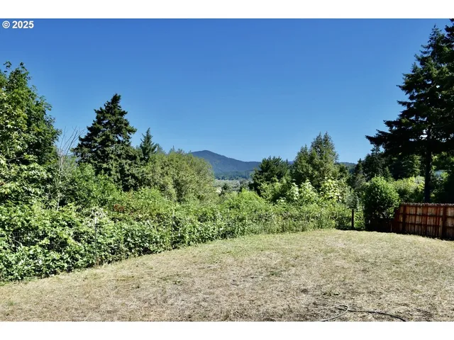 a view of an empty room with wooden floor and a fireplace