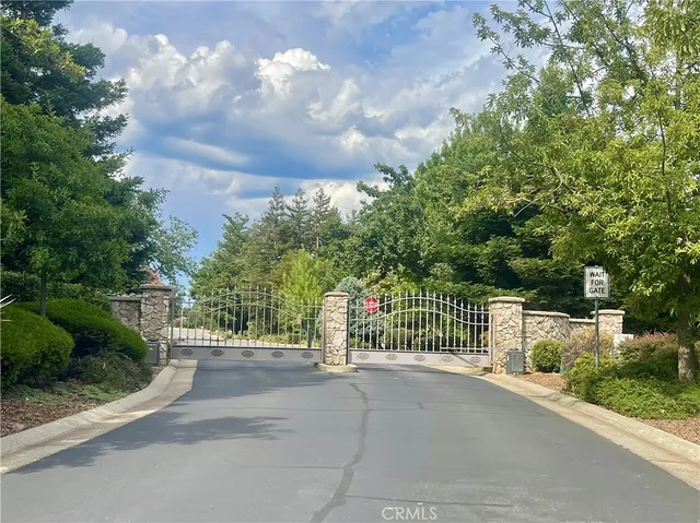 a view of road with large trees