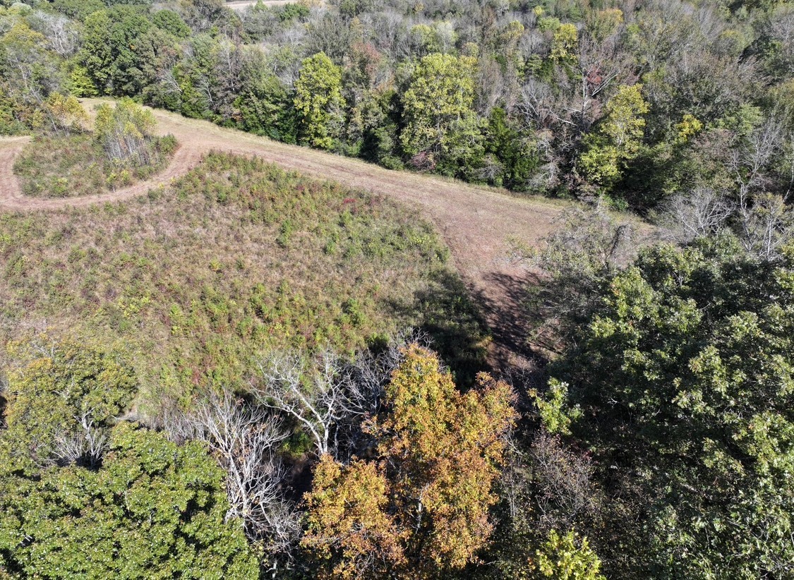 0 Narrows Of The Harpeth Road Kingston Springs, TN 37082 - Photo 11 of 11