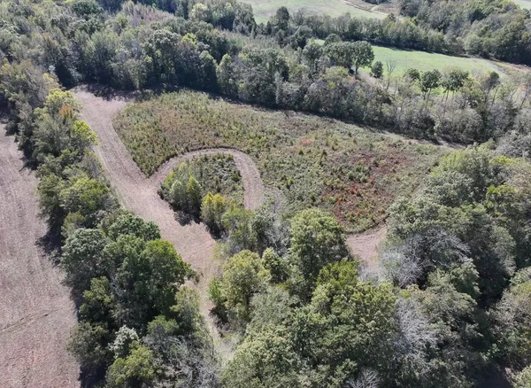 a view of a dry yard with lots of bushes
