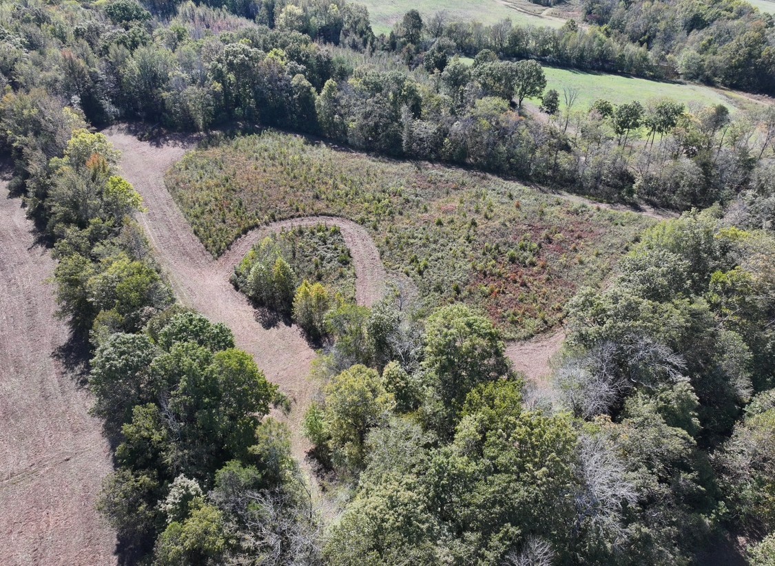 0 Narrows Of The Harpeth Road Kingston Springs, TN 37082 - Photo 9 of 11