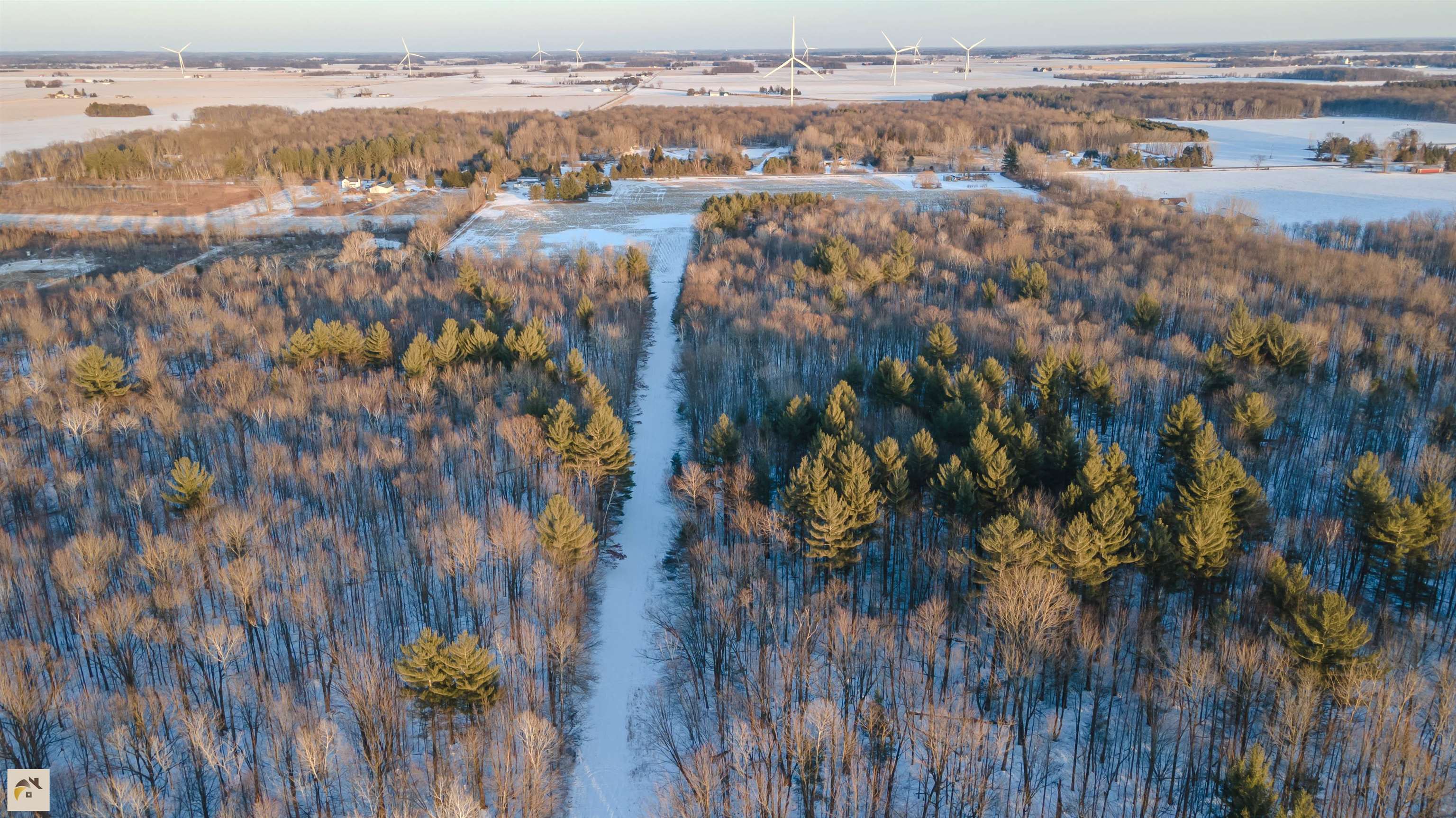 Tbd North Meridian Road Merrill, MI 48637 - Photo 32 of 33