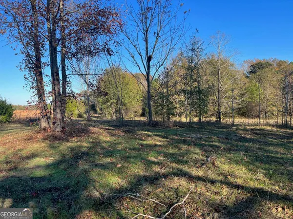 a view of a yard with trees