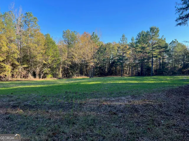 a view of a park with large trees