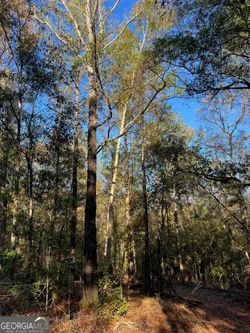 a backyard of a house