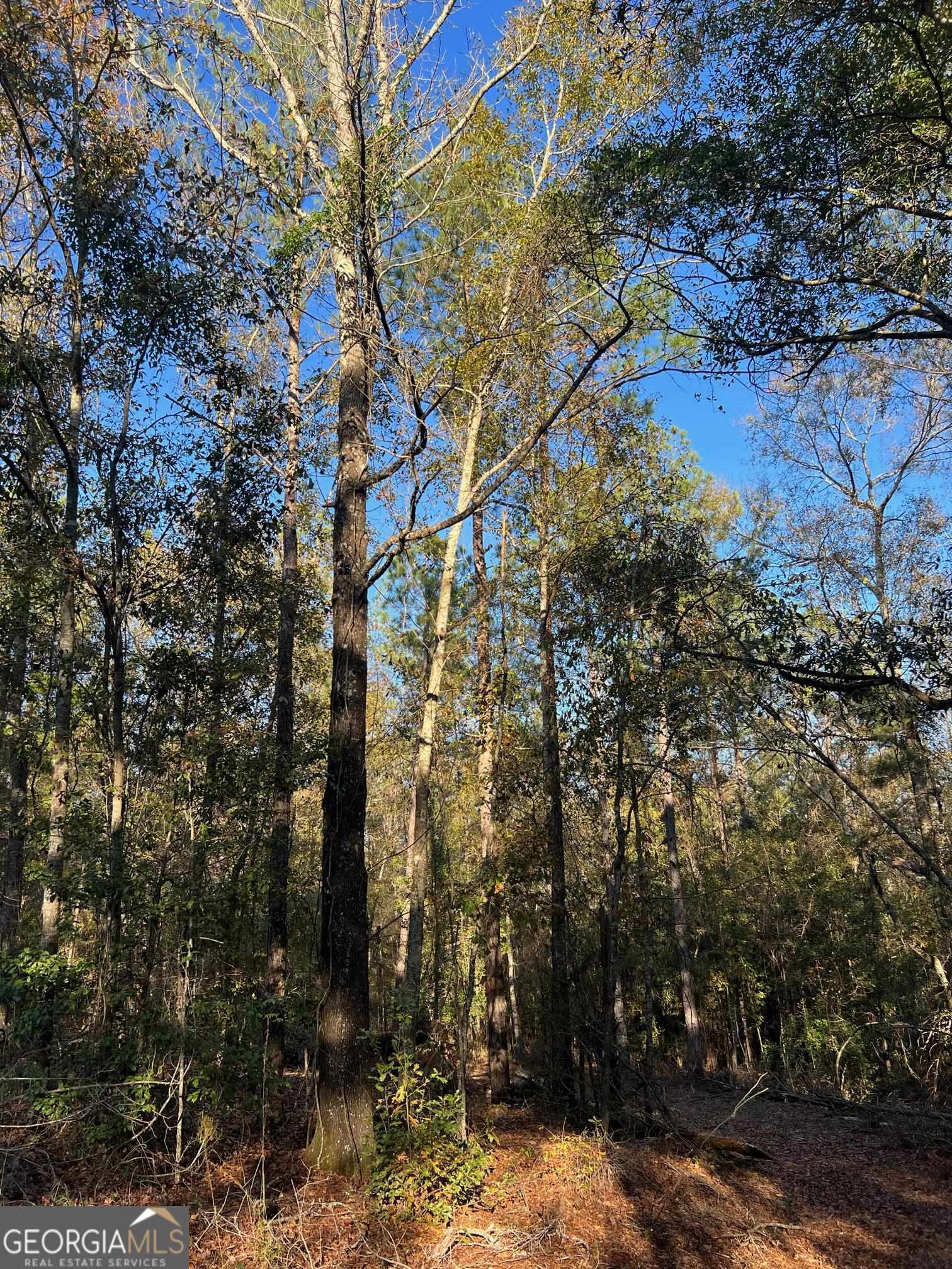 0 53rd Highway, Unit 73 / Clayton, AL 36016 - Photo 23 of 38 a backyard of a house