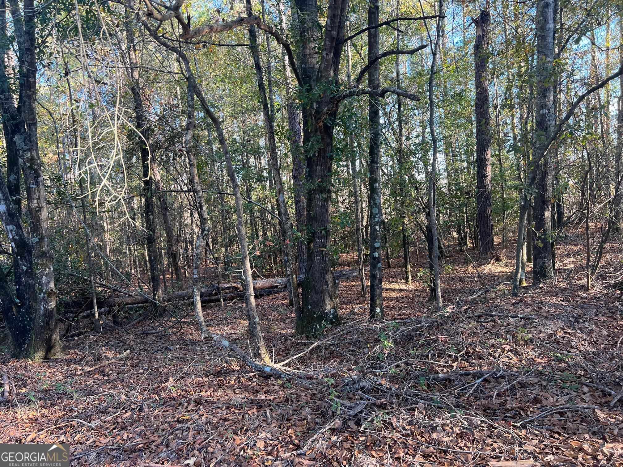 0 53rd Highway, Unit 73 / Clayton, AL 36016 - Photo 24 of 38 a backyard of a house with lots of green space