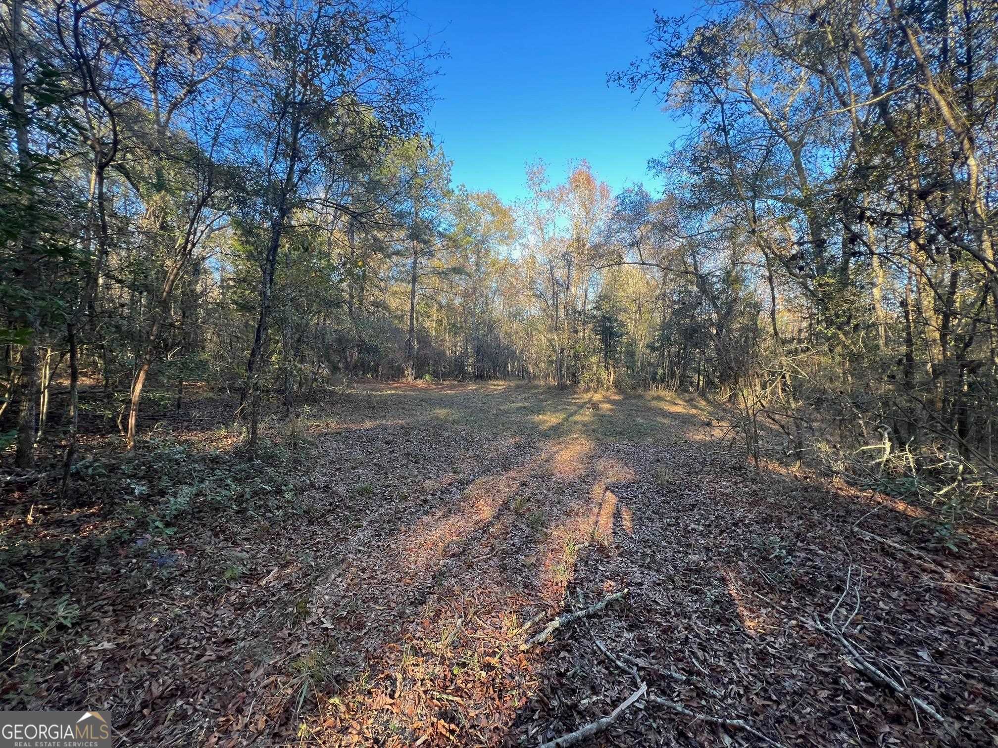 0 53rd Highway, Unit 73 / Clayton, AL 36016 - Photo 25 of 38 a view of a yard with trees
