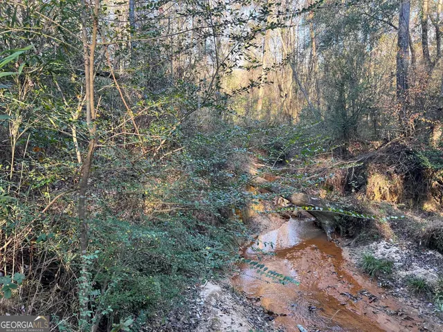 a view of a forest with lots of trees