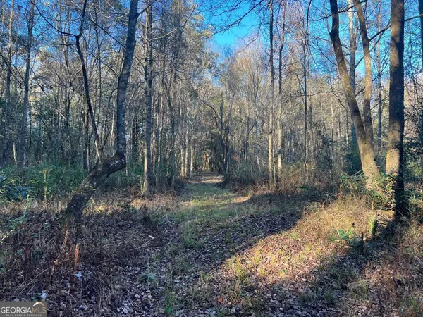 a view of a yard with lots of trees