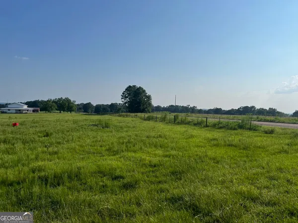 a view of grassy field with mountain