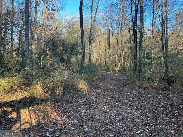 a view of a lake with beach