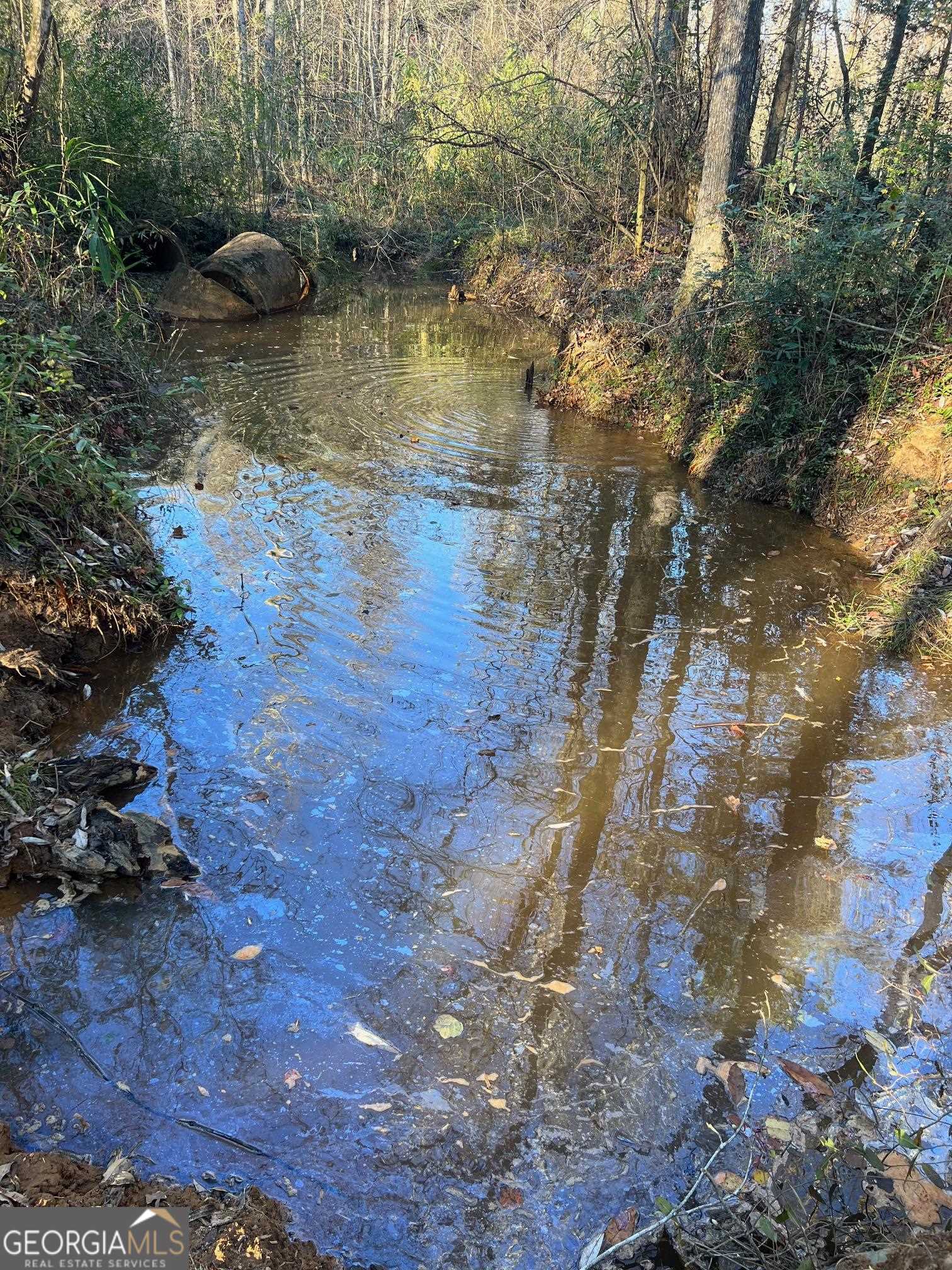 0 53rd Highway, Unit 73 / Clayton, AL 36016 - Photo 32 of 38 a view of a lake with beach