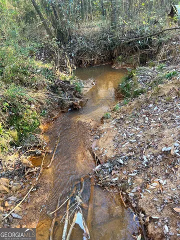 a view of a yard with lots of trees
