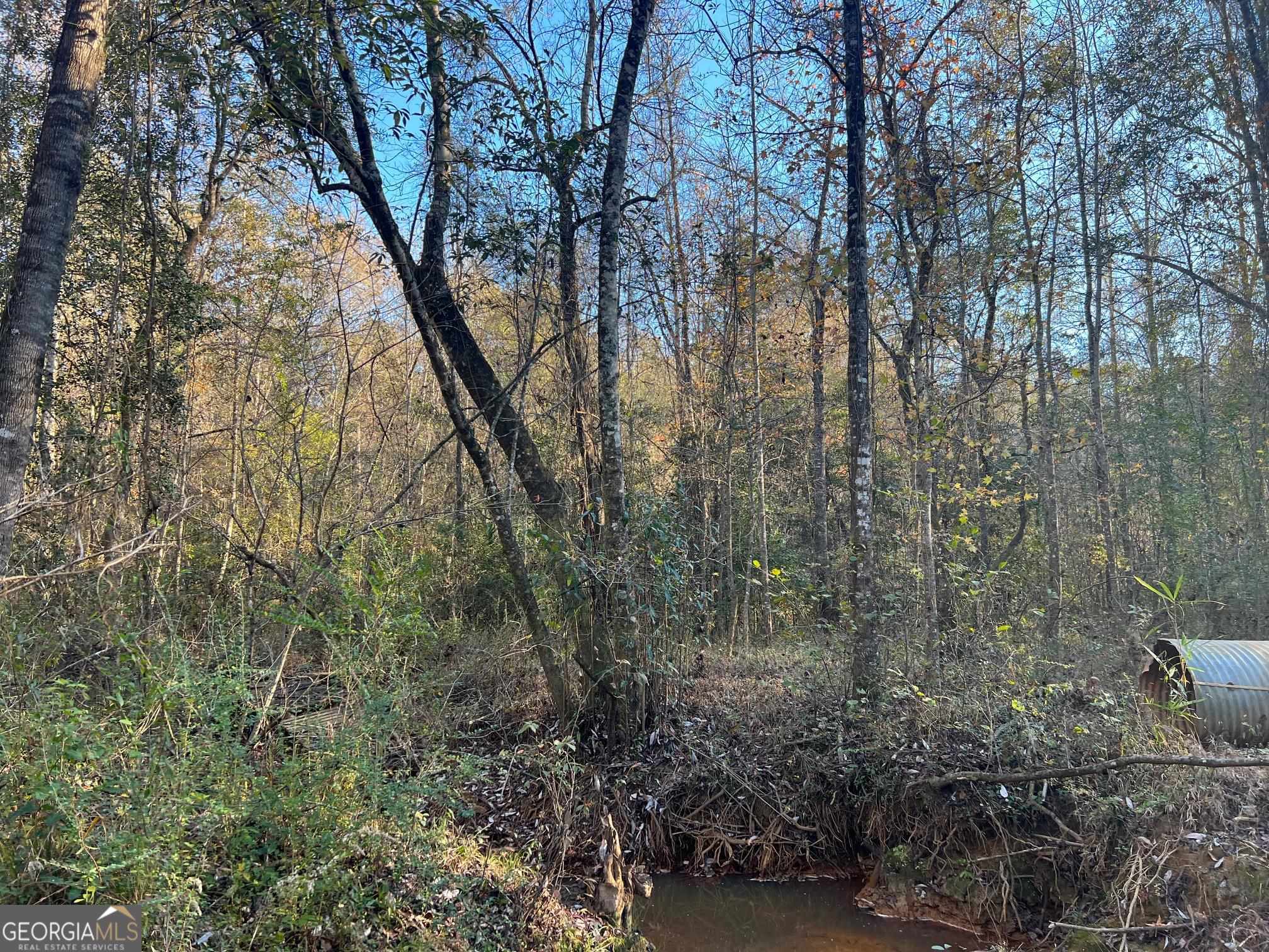 0 53rd Highway, Unit 73 / Clayton, AL 36016 - Photo 35 of 38 a view of forest