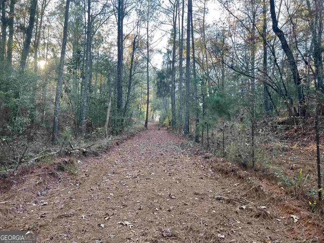 $292,000 | 0 53rd Highway, Unit 73 /, Clayton, AL 36016