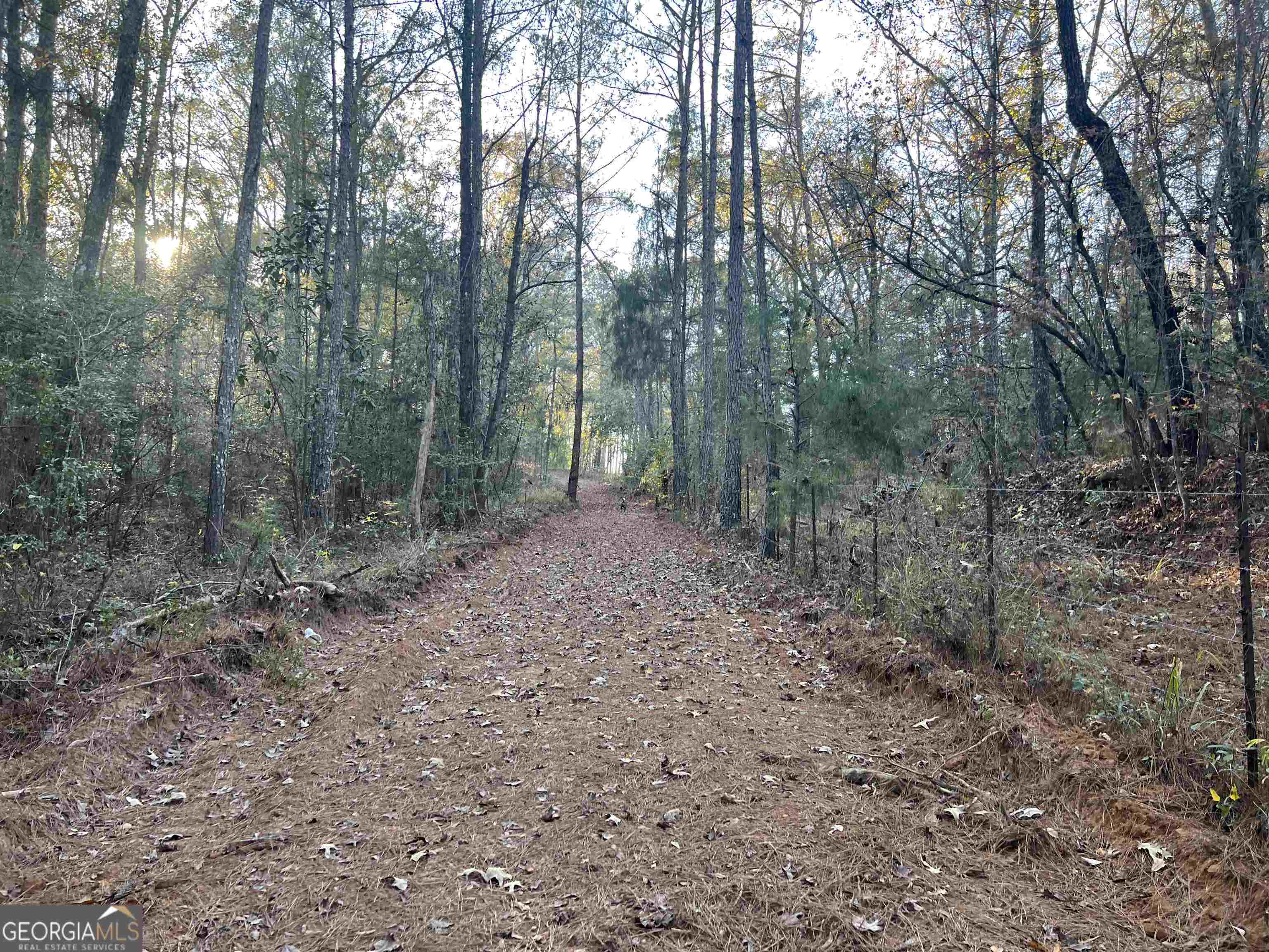 0 53rd Highway, Unit 73 / Clayton, AL 36016 - Photo 38 of 38 a view of a forest with trees in the background