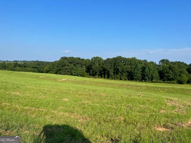 a view of a field with an ocean