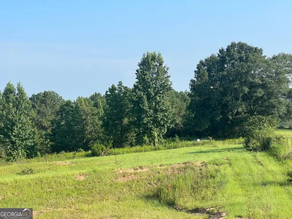 a view of a field with a tree in the background
