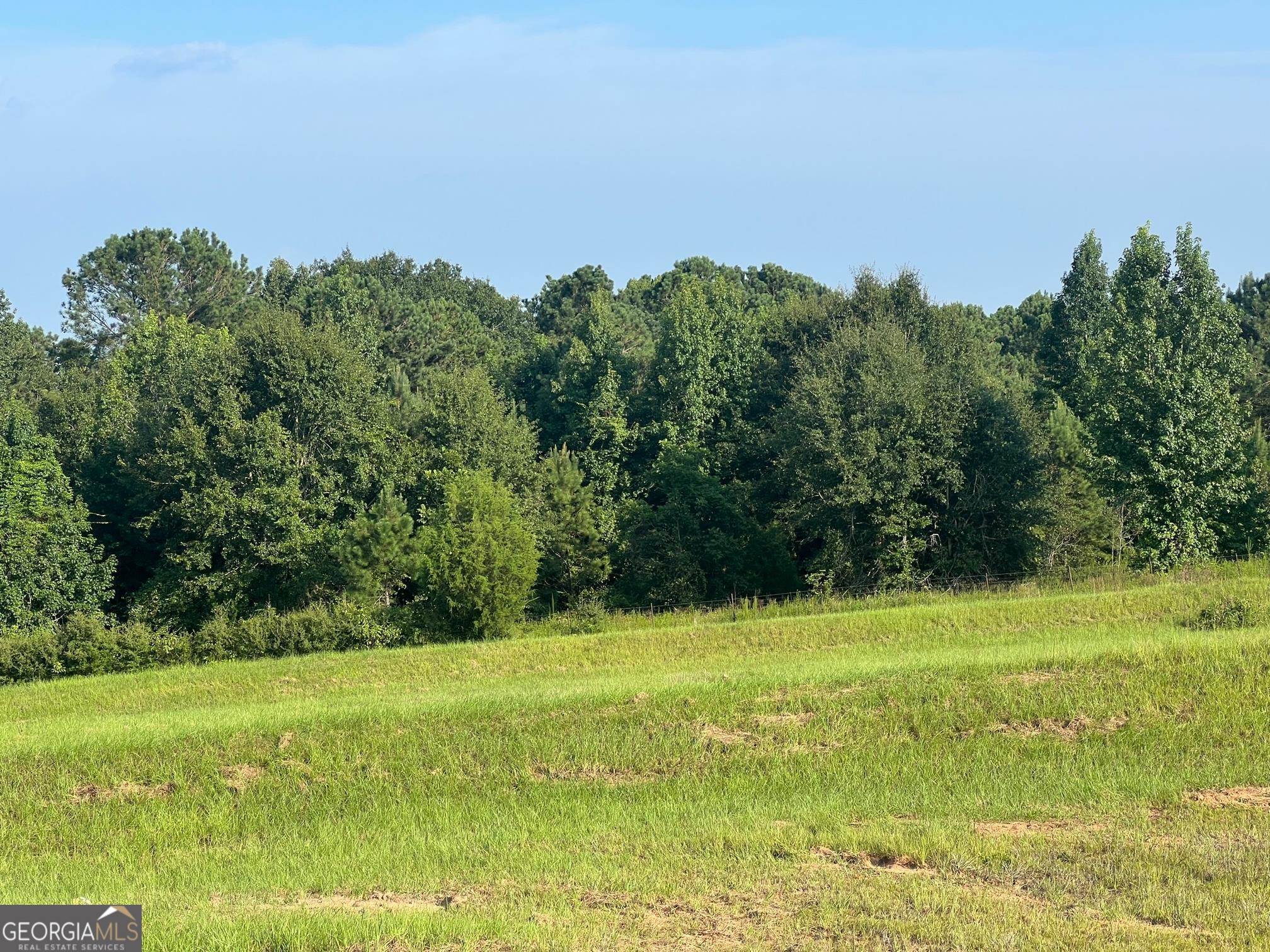 0 53rd Highway, Unit 73 / Clayton, AL 36016 - Photo 10 of 38 a view of a field with an trees in the background