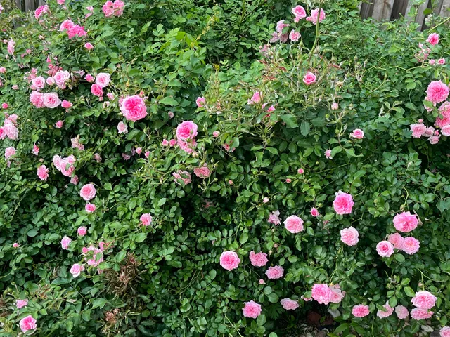 $311,000 | 3007 Pointewest Drive, Augusta, GA 30909