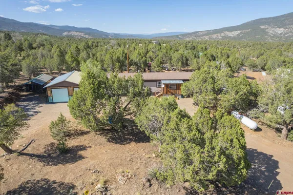 $335,000 | 98 Wandering Hills Place, Arboles, CO 81121