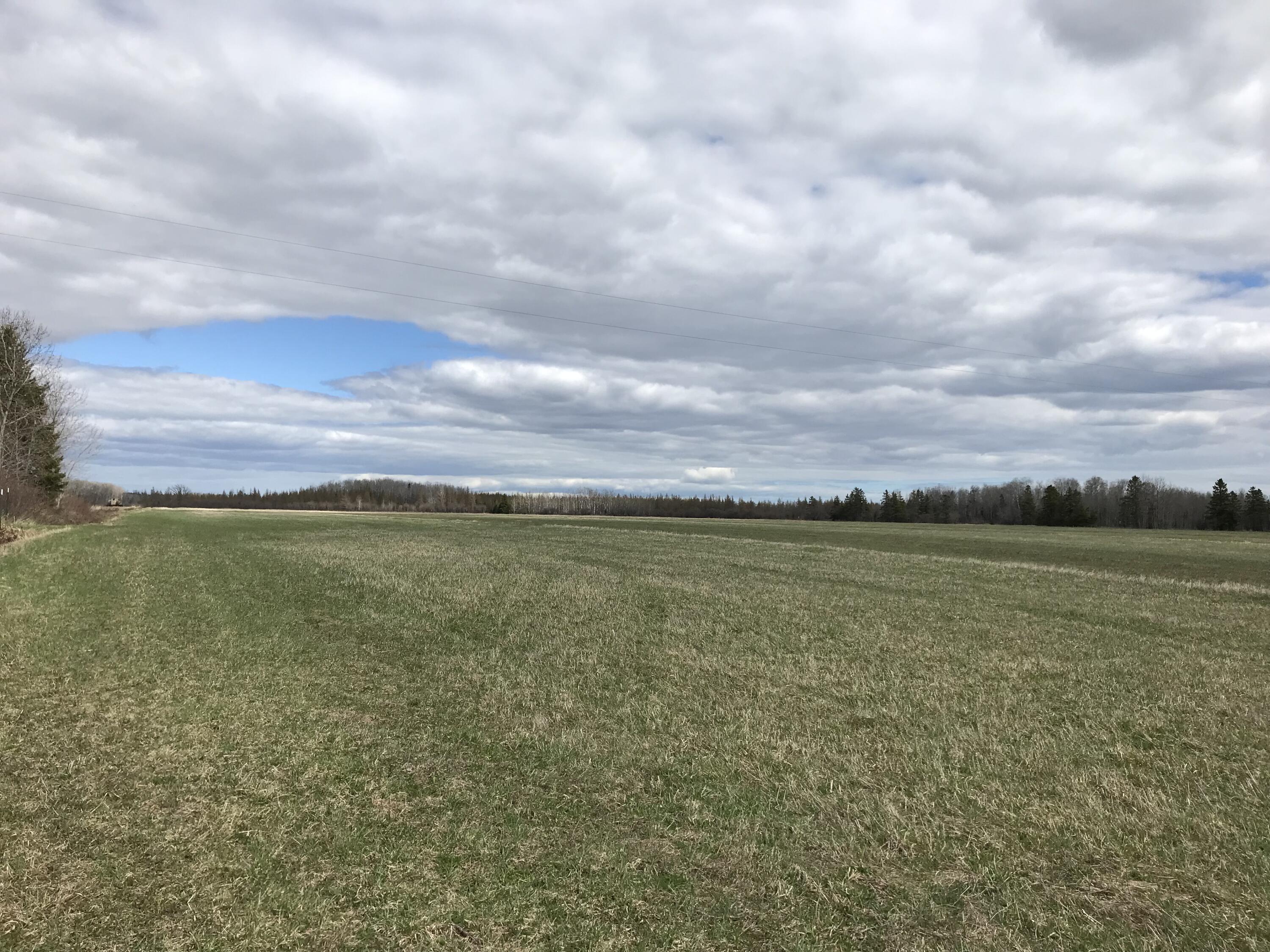 0 South Clegg Road Pickford, MI 49774 - Photo 2 of 5 2