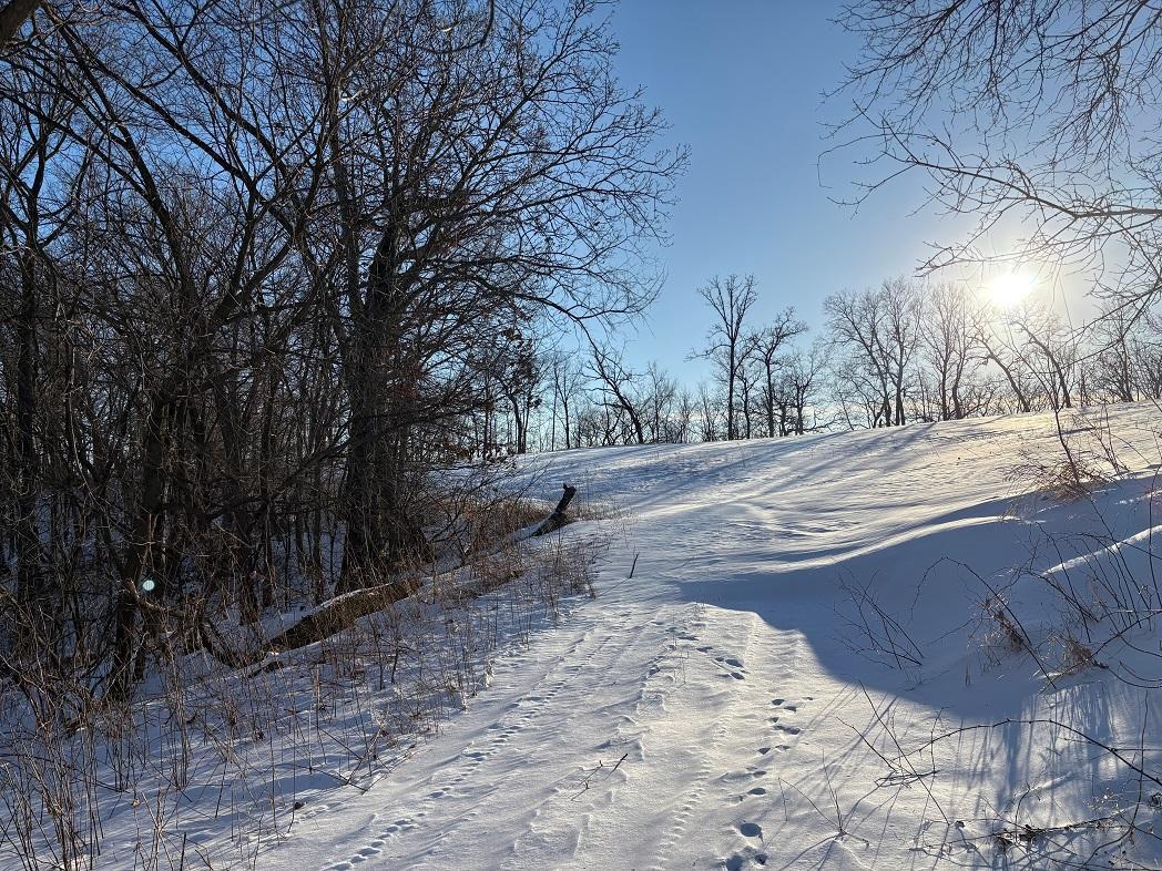 0 Yaeger Valley Road Cochrane, WI 54622 - Photo 11 of 44