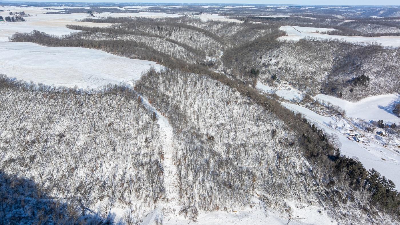 0 Yaeger Valley Road Cochrane, WI 54622 - Photo 27 of 44