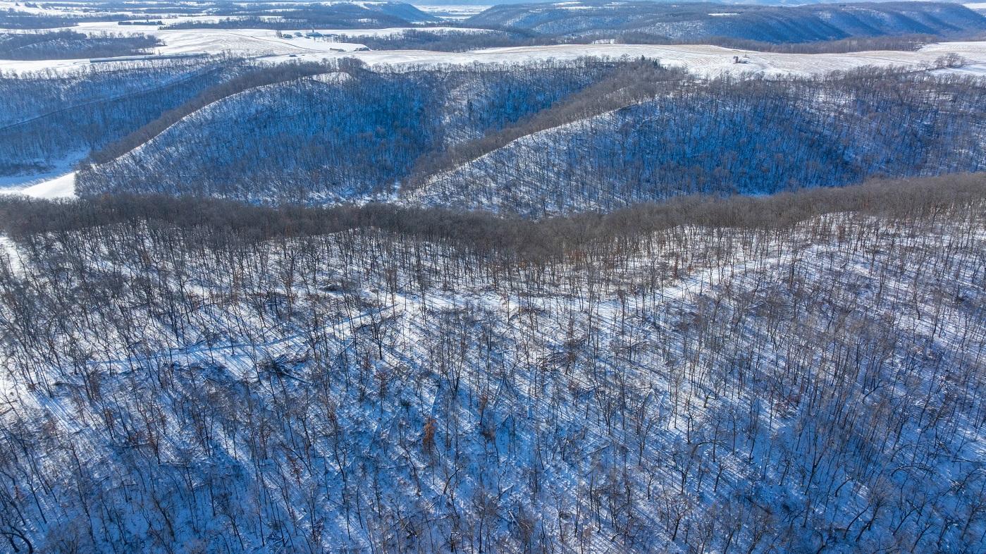 0 Yaeger Valley Road Cochrane, WI 54622 - Photo 34 of 44