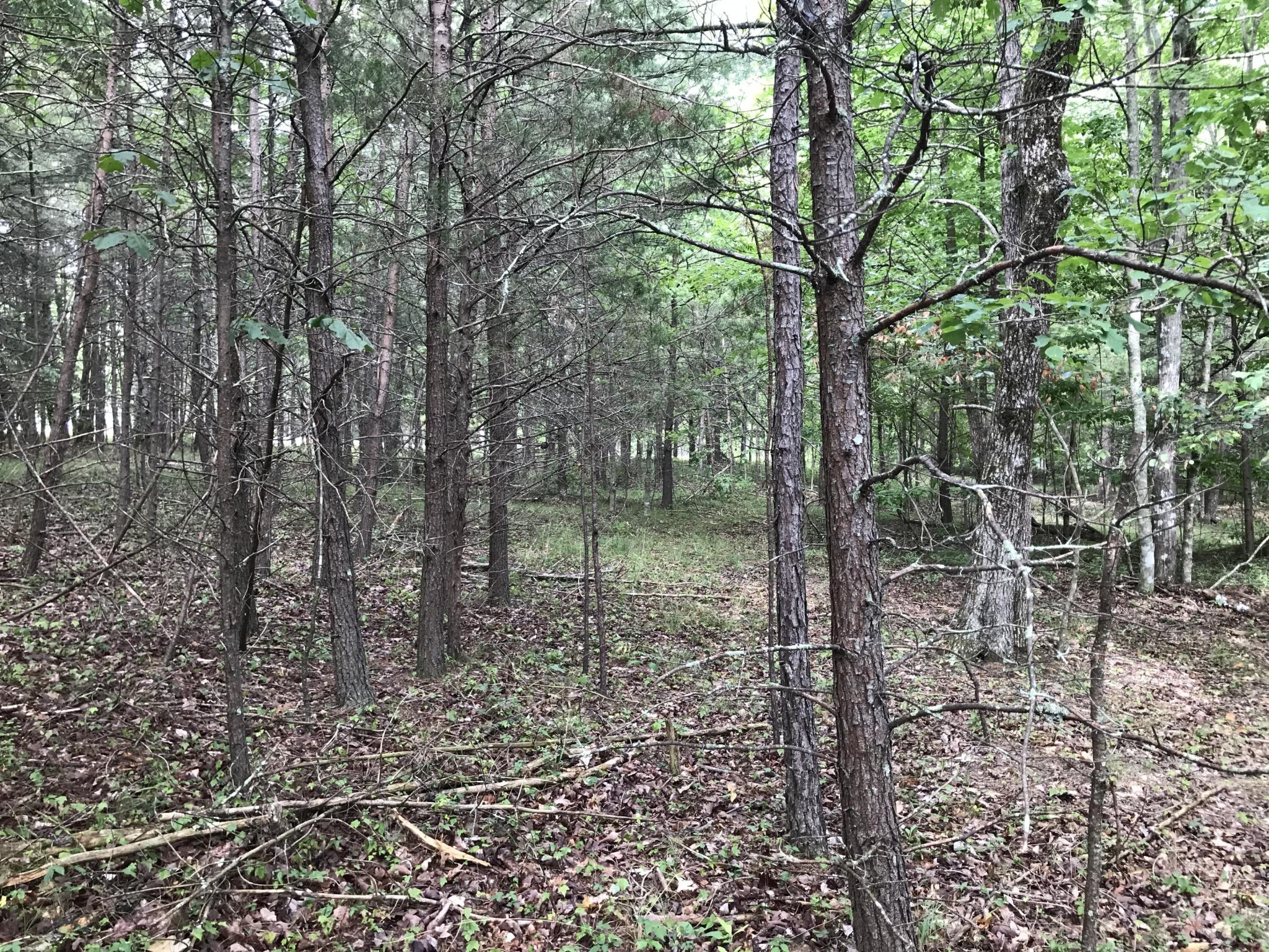 0 Quail Trail Dunlap, TN 37327 - Photo 16 of 36