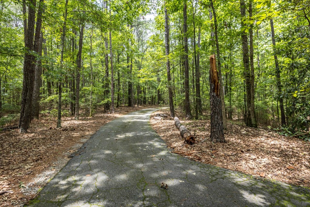 70 Lee Road Salem, AL 36874 - Photo 5 of 52