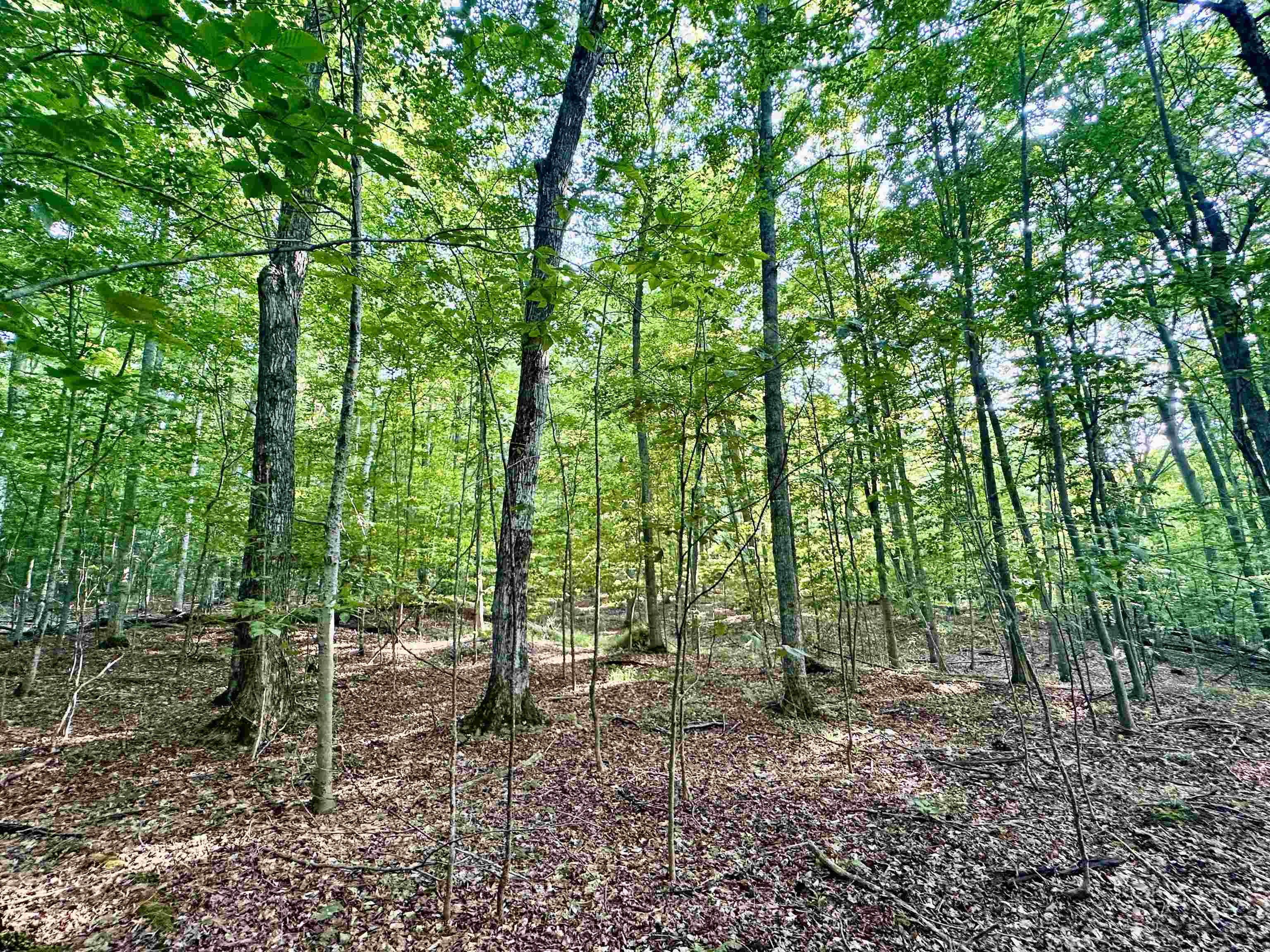 950 East Sullivan Woods Road Cedar, MI 49621 - Photo 38 of 42 Gallery Image 38