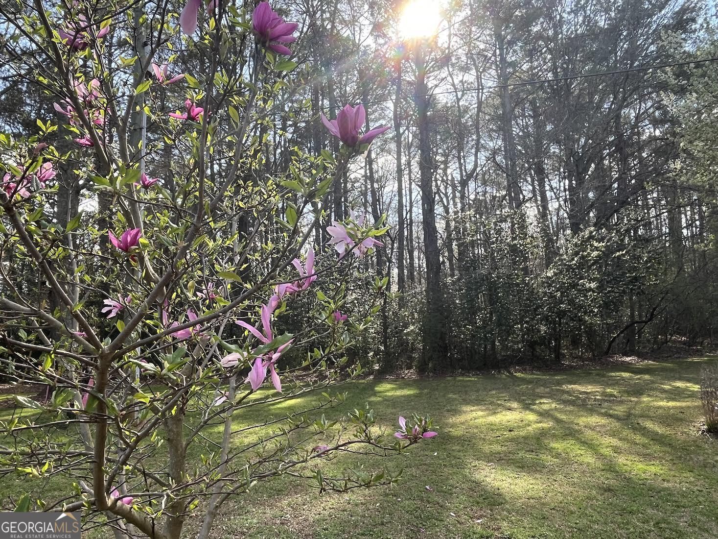 30 Roundlake Road Griffin, GA 30224 - Photo 35 of 47