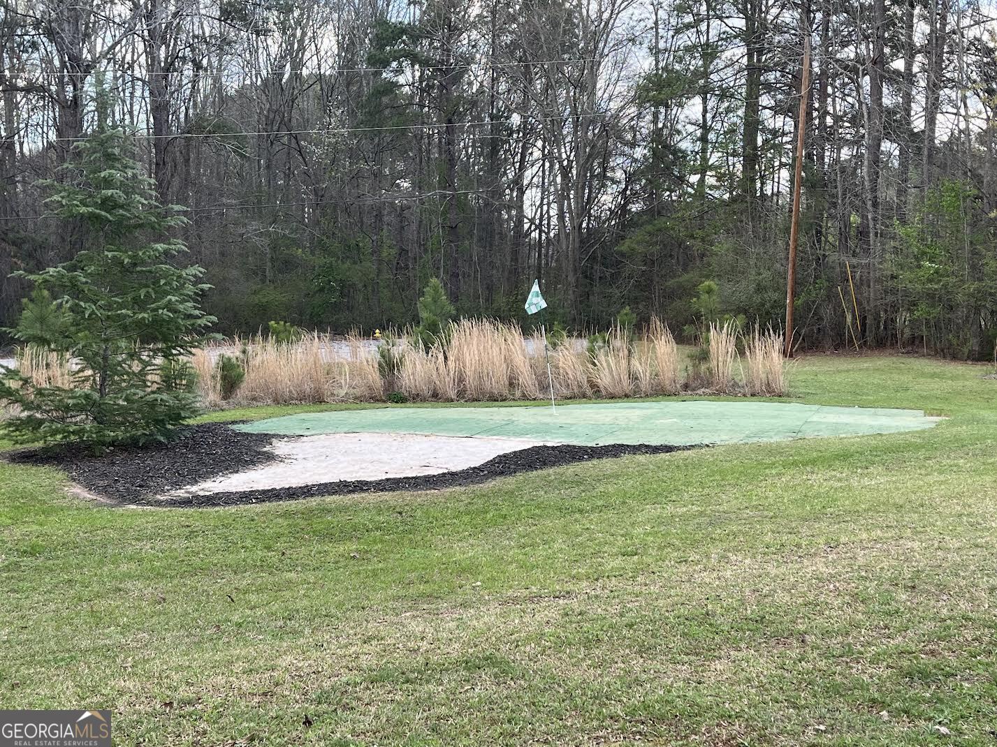 30 Roundlake Road Griffin, GA 30224 - Photo 9 of 47