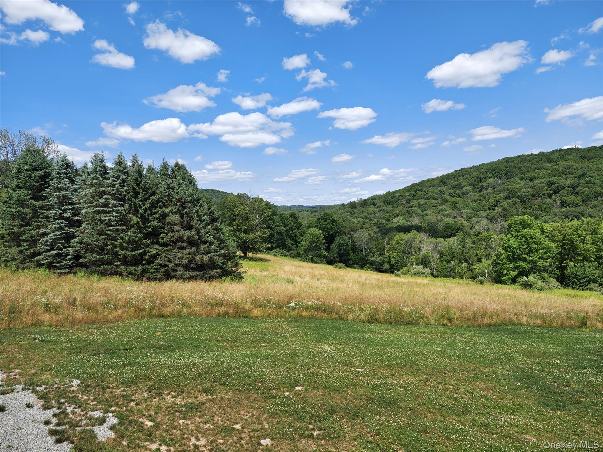 129 Nelson Road Hankins, NY 12741 - Photo 43 of 46 From the back deck