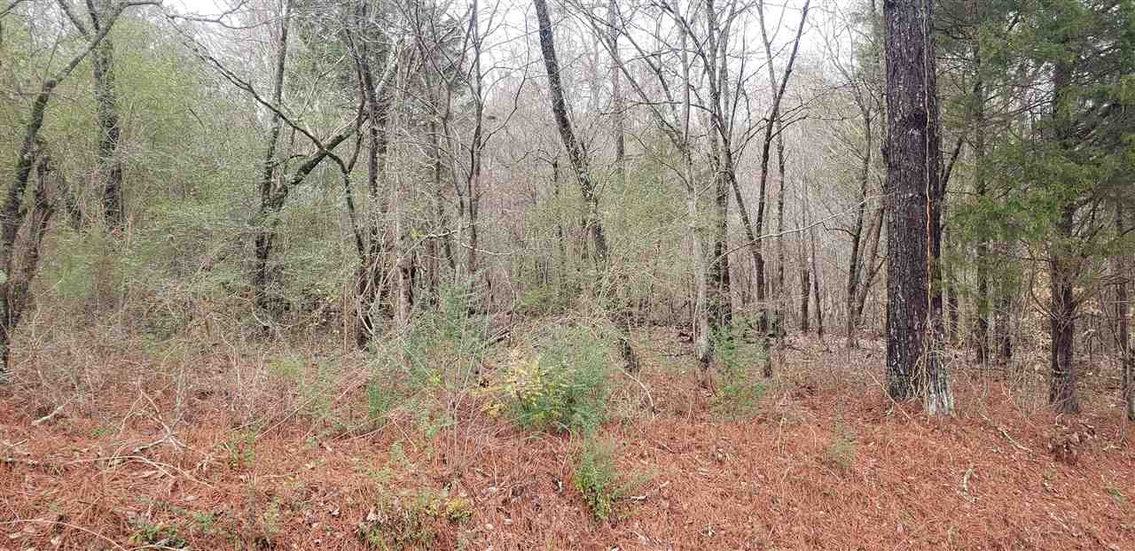 2768 Eads Bluff Road Northwest Georgetown, TN 37336 - Photo 1 of 3