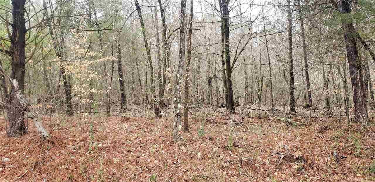 2768 Eads Bluff Road Northwest Georgetown, TN 37336 - Photo 2 of 3