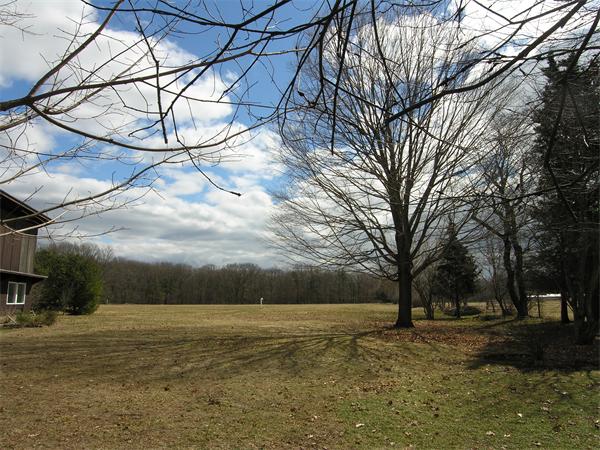 49 Powisset Street Dover, MA 02030 - Photo 3 of 7 a view of a yard with large trees