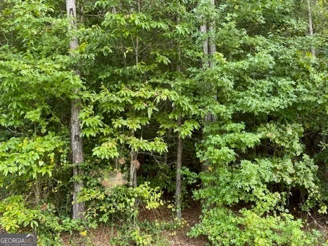 $90,000 | Tk 7 Old Ridgeway Road, Bremen, GA 30110