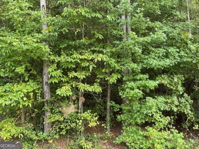 Tk 7 Old Ridgeway Road Bremen, GA 30110 - Photo 2 of 4