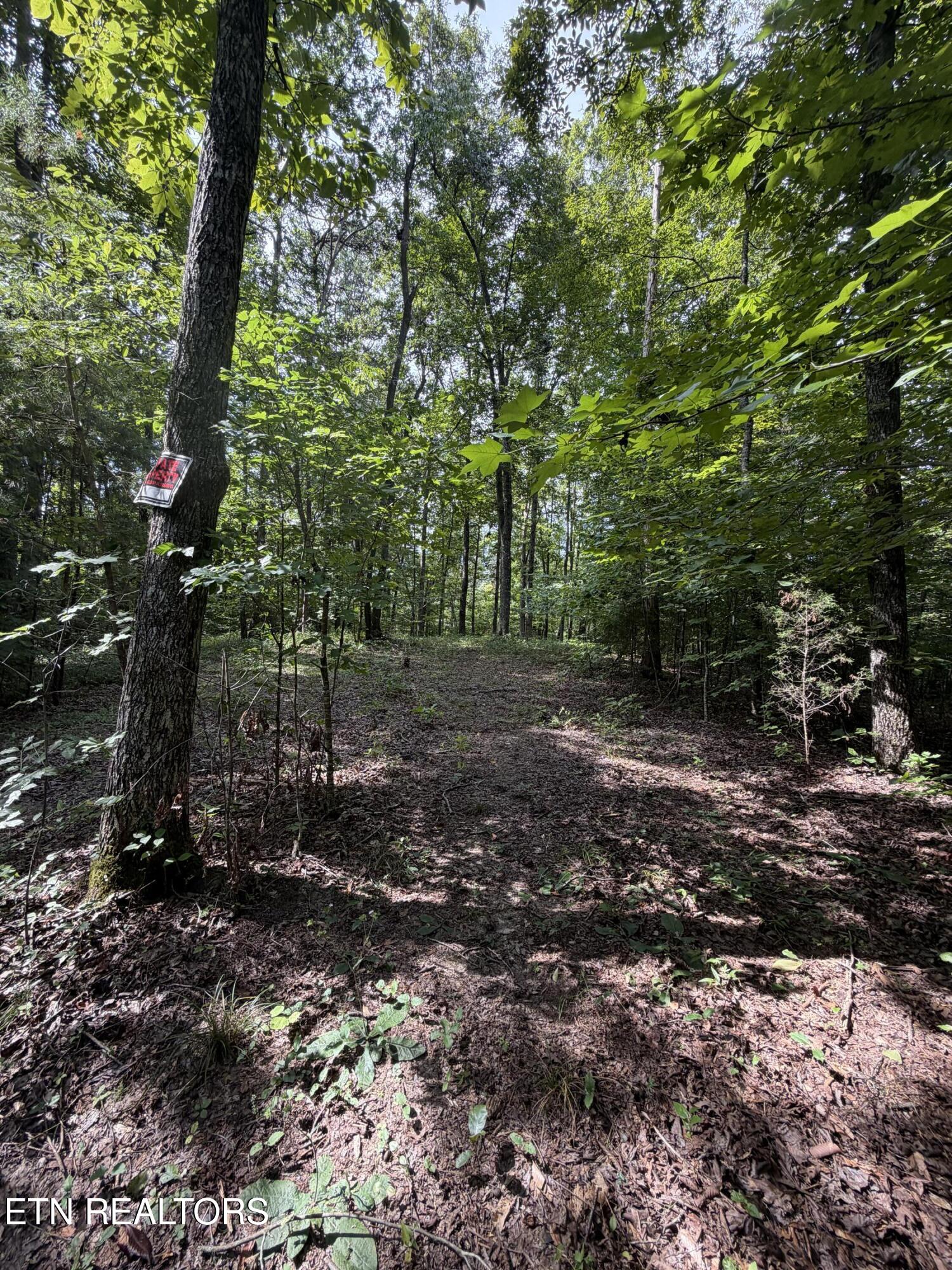 2544 Hinds Creek Road Heiskell, TN 37754 - Photo 9 of 27 IMG_0437