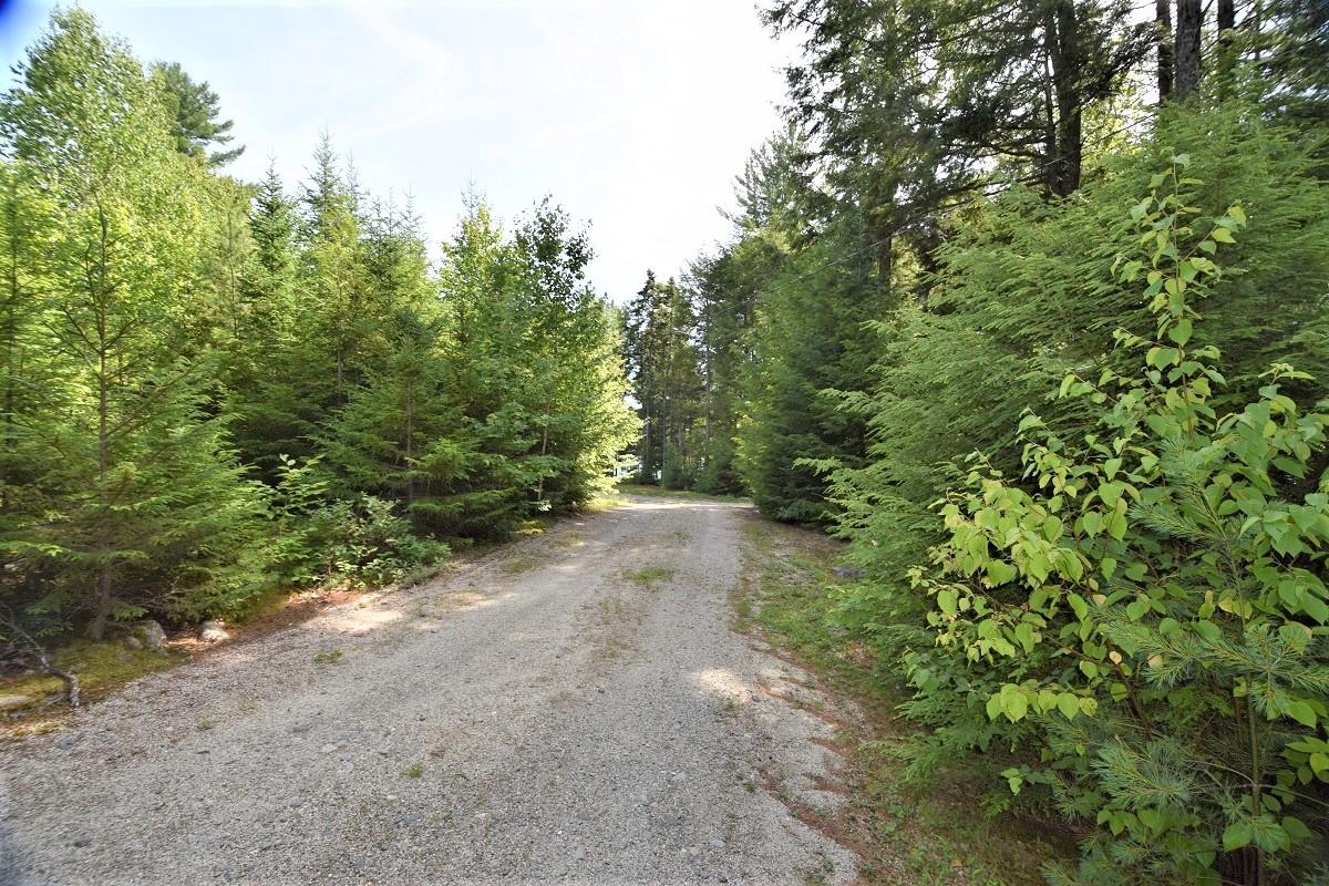 1650 Houston Road Lincoln, ME 04457 - Photo 66 of 70 Driveway to property...