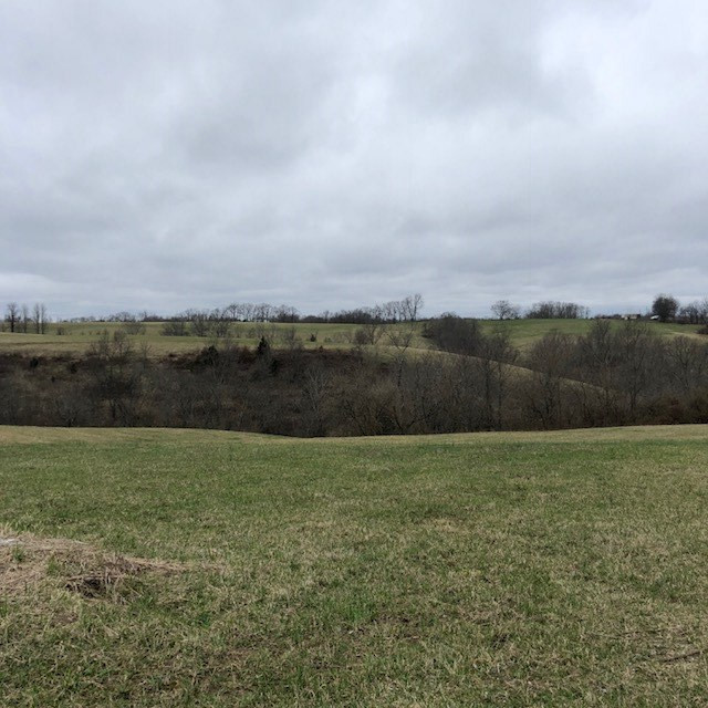 160 Hunters Trail Dry Ridge, KY 41035 - Photo 3 of 6