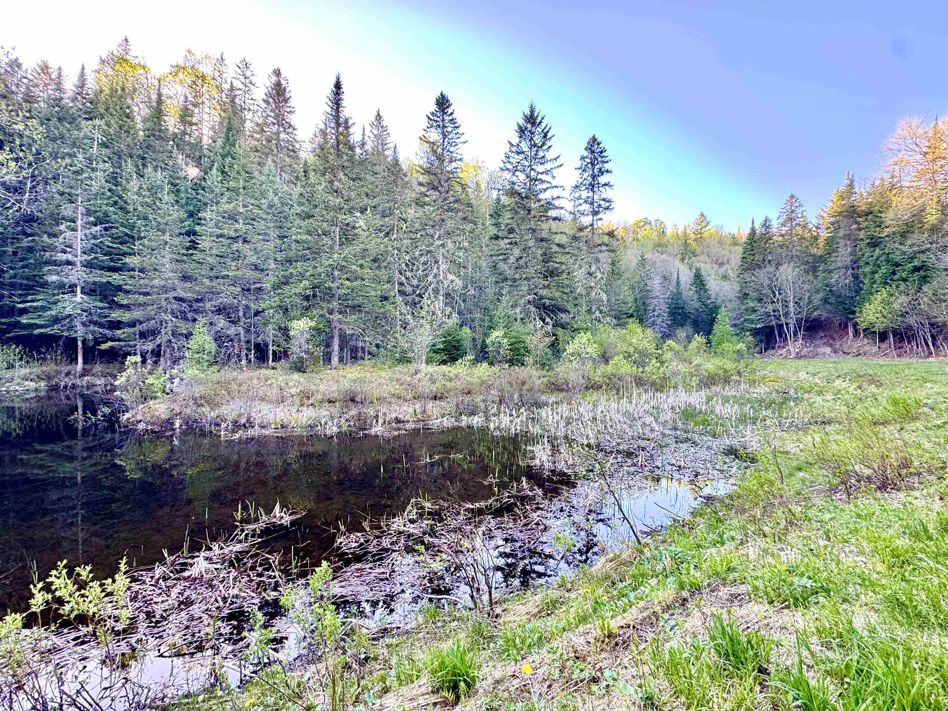 Lot 8 Gulch Brook Road Stewartstown, NH 03576 - Photo 16 of 22