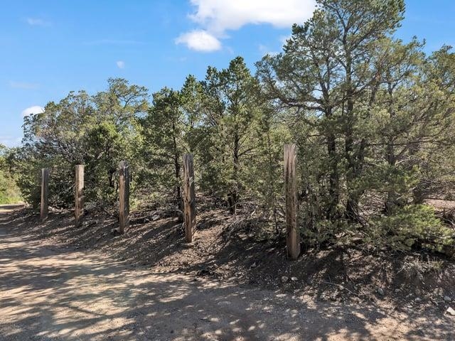 Lot 83 Upper Pinabete Road Questa, NM 87556 - Photo 5 of 11