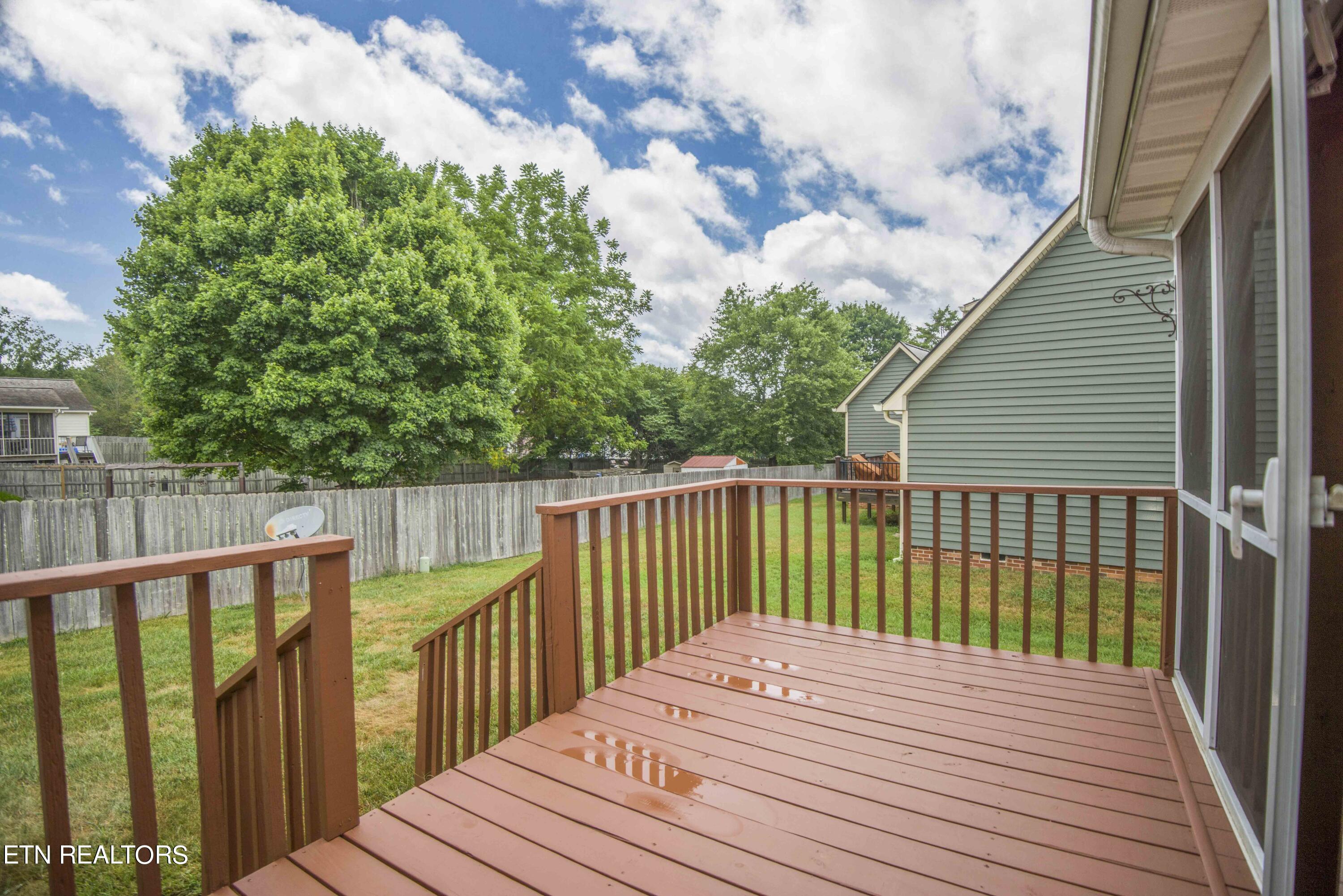 7004 Chartwell Road Knoxville, TN 37931 - Photo 42 of 46 yard 5_1