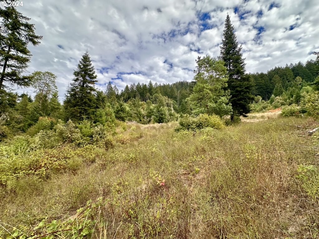 780 Tunnel Road Glendale, OR 97442 - Photo 15 of 31 a view of a bunch of trees and bushes