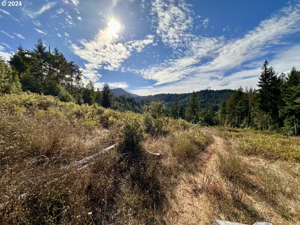 780 Tunnel Road Glendale, OR 97442 - Photo 6 of 31
