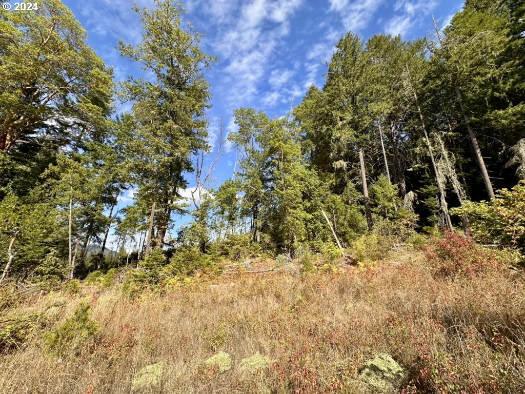 780 Tunnel Road Glendale, OR 97442 - Photo 7 of 31 a view of outdoor space
